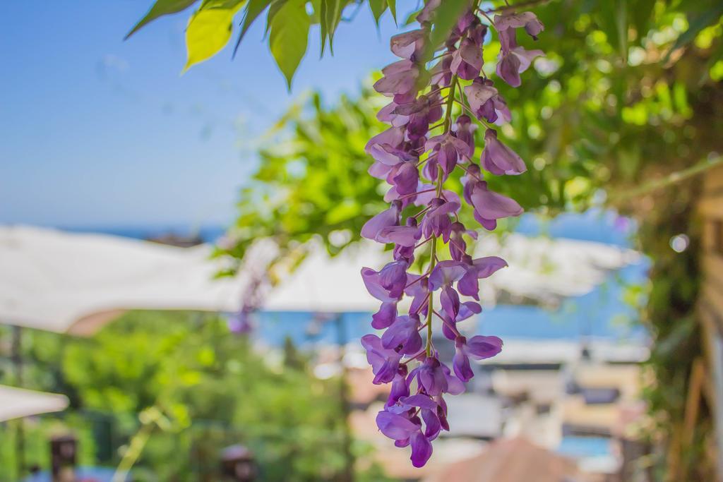 Hotel Boutique 17 Вальпараисо Экстерьер фото